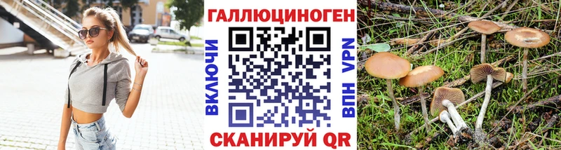 Галлюциногенные грибы прущие грибы Избербаш