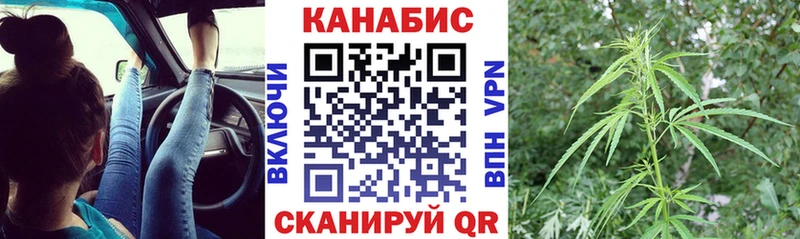площадка наркотические препараты  Избербаш  Марихуана Amnesia 